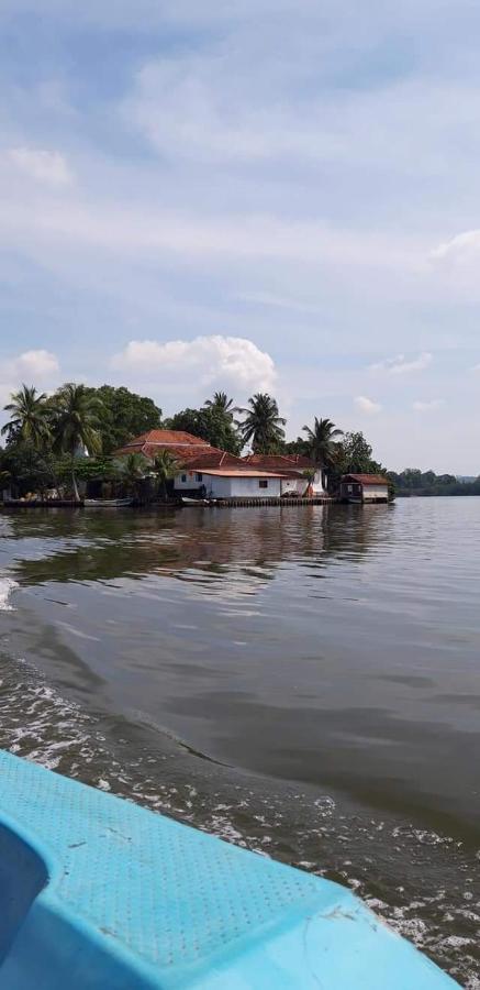 Rashmi Homestay Balapitiya Exteriör bild